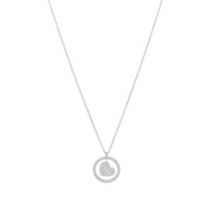 Collier pour femme en acier inoxydable argenté avec médaille luck
