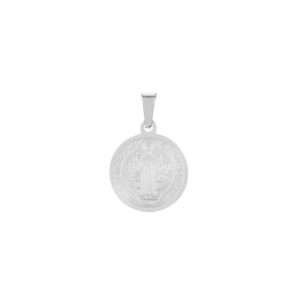 Pendentif médaille en acier inoxidable por homme Delaware